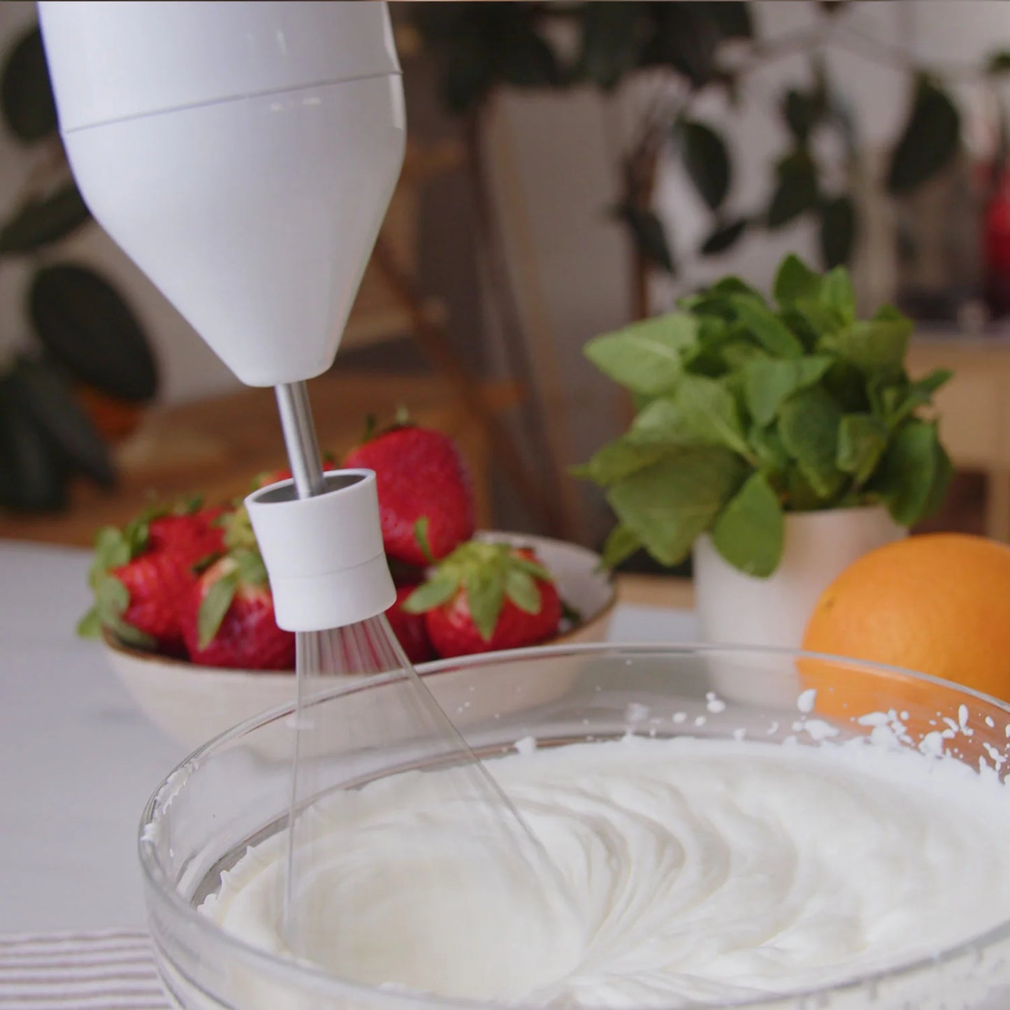 TAURUS HAND BLENDER, BAPI 850 PLUS INOX