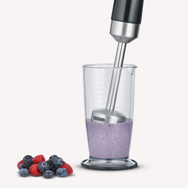 Severin SM 3772 Hand Blender Set